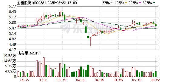 前海吉安 金鹰股份：2024年年度股东大会决议公告