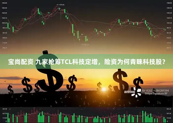宝尚配资 九家抢筹TCL科技定增，险资为何青睐科技股？