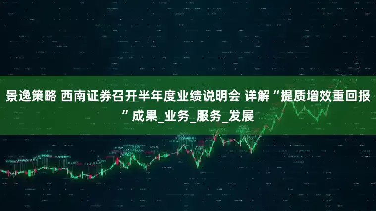 景逸策略 西南证券召开半年度业绩说明会 详解“提质增效重回报”成果_业务_服务_发展