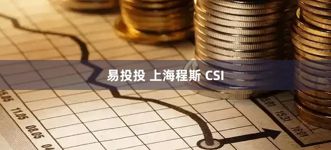 易投投 上海程斯 CSI