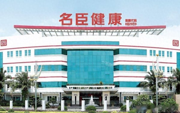 鼎和网 名臣健康日化业务下滑12.43%, 营收仅剩23%, 双主业战略失衡了吗